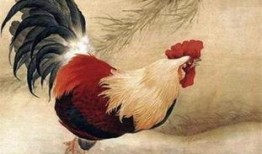 属鸡的女人在线观看